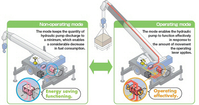 Positive control Positive control